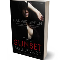 3D view of Premade Erotica Book Cover - Black