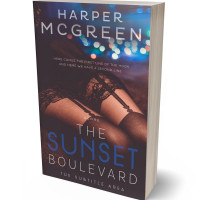 3D view of Premade Erotica Book Cover - Ship Gray