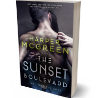 Tablet view of Baltic Sea #6973 - Premade Erotica Book Cover