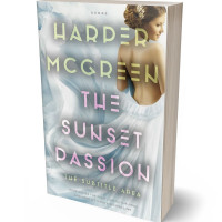 3D view of Premade Historical Book Cover - Pumice