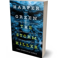 3D view of Premade Mystery & Thriller & Suspense Book Cover - Firefly