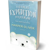 3D view of Premade Abstract Book Cover - Glacier