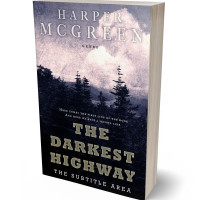 3D view of Premade Mystery & Thriller & Suspense Book Cover - Wafer