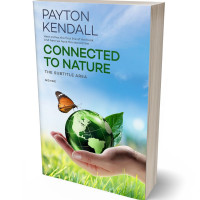 3D view of Premade Environment & Ecology Book Cover - Ziggurat