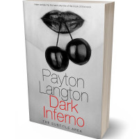 Tablet view of Silver #7202 - Premade Erotica Book Cover