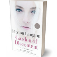 3D view of Premade Romance Book Cover - Bon Jour