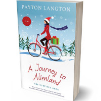 3D view of Premade Teen & Young Adult Book Cover - Morning Glory