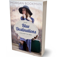 3D view of Premade Travel Book Cover - Ebony Clay