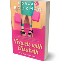 3D view of Premade Chick Lit Book Cover - Cranberry