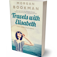 3D view of Premade Romance Book Cover - Satin Linen