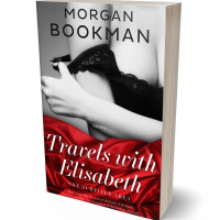 Tablet view of Alto #7299 - Premade Erotica Book Cover