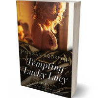 3D view of Premade Erotica Book Cover - Tamarind