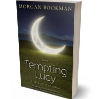 Tablet view of Rangitoto #7315 - Premade Abstract Book Cover