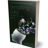 Tablet view of Log Cabin #7317 - Premade Fantasy Book Cover