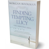 3D view of Premade Romance Book Cover - Geyser