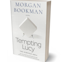 Tablet view of Desert Storm #7332 - Premade Self-Improvement & Self-Help Book Cover