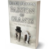 3D view of Premade Romance Book Cover - Ash