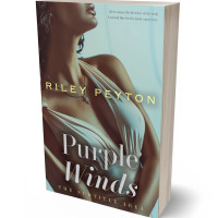 3D view of Premade Erotica Book Cover - Rock