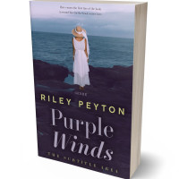 3D view of Premade Romance Book Cover - Logan