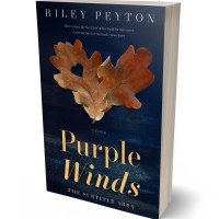 3D view of Premade Abstract Book Cover - Mirage