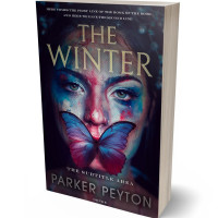 3D view of Premade Mystery & Thriller & Suspense Book Cover - Mirage