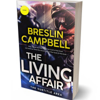 3D view of Premade Mystery & Thriller & Suspense Book Cover - Brandy