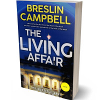 3D view of Premade Mystery & Thriller & Suspense Book Cover - Bunting