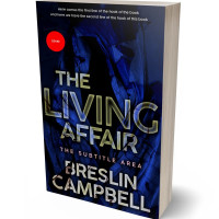 3D view of Premade Mystery & Thriller & Suspense Book Cover - Ebony