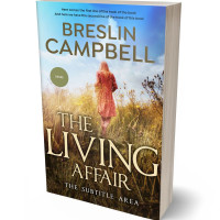 3D view of Premade Romance Book Cover - Celeste