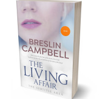 3D view of Premade Romance Book Cover - Lola