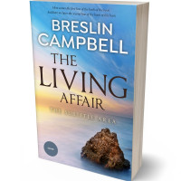 3D view of Premade Nature Book Cover - Swirl