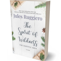 3D view of Premade Romance Book Cover - Cararra