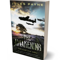 3D view of Premade Historical Book Cover - Satin Linen