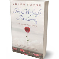 3D view of Premade Romance Book Cover - Pampas