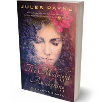 3D view of Premade Fantasy Book Cover - Thunder