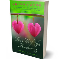 3D view of Premade Poetry Book Cover - Charm