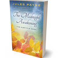 3D view of Premade Nature Book Cover - Pumice