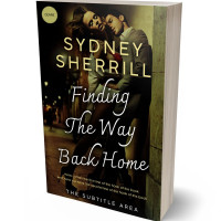 3D view of Premade Erotica Book Cover - Eternity