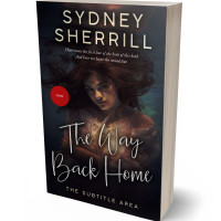 3D view of Premade Surreal Book Cover - Thunder