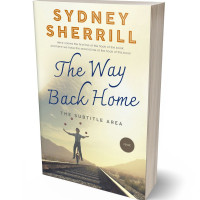 3D view of Premade Literary Fiction Book Cover - Aths Special