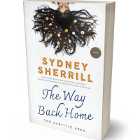 Tablet view of Desert Storm #7989 - Premade Teen & Young Adult Book Cover