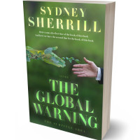 3D view of Chalet Green #8118 - Premade Politics & Law & Society Book Cover