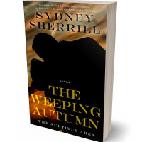 3D view of Premade Romance Book Cover - Copper