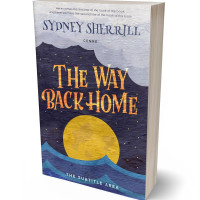 3D view of Premade Abstract Book Cover - Gun Powder