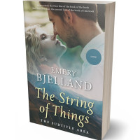 3D view of Premade Romance Book Cover - Nandor