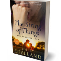 3D view of Premade Health & Mind & Body Book Cover - Calico