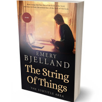 3D view of Premade Teen & Young Adult Book Cover - Thunder