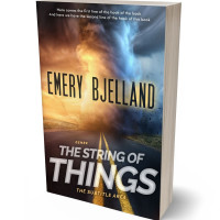 3D view of Premade Apocalyptica Book Cover - Calico