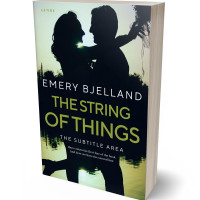 3D view of Premade Romance Book Cover - Firefly