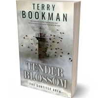 3D view of Premade Romance Book Cover - Gray Nickel